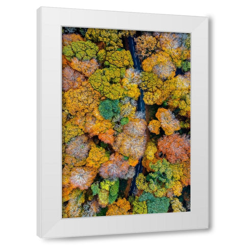 Autumn firework White Modern Wood Framed Art Print by Jubic, Srecko