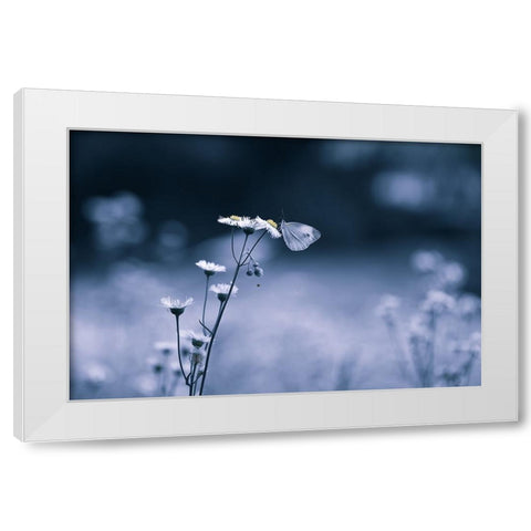 Small Butterfly White Modern Wood Framed Art Print by Deng, Ivy