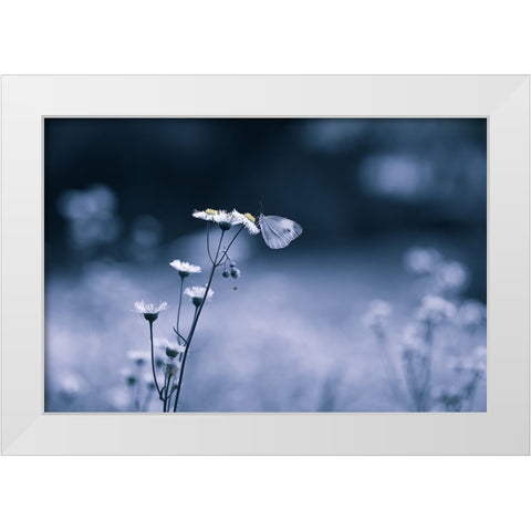 Small Butterfly White Modern Wood Framed Art Print by Deng, Ivy