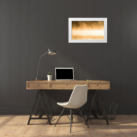 Morning Flight White Modern Wood Framed Art Print by Li, Alex