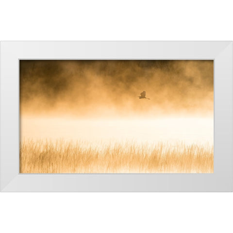 Morning Flight White Modern Wood Framed Art Print by Li, Alex