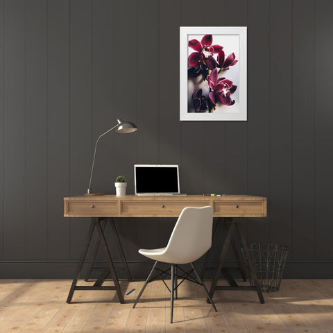 Red Cymbidium Orchid White Modern Wood Framed Art Print by Sawall, Anastasia