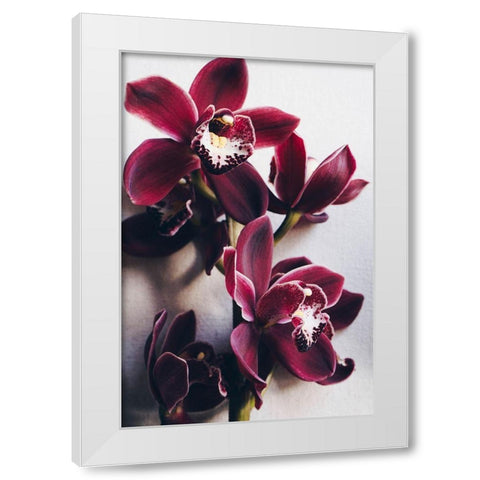 Red Cymbidium Orchid White Modern Wood Framed Art Print by Sawall, Anastasia
