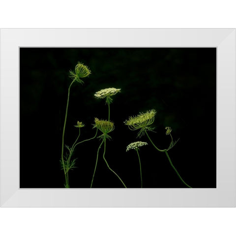 A Green Dance White Modern Wood Framed Art Print by Chen, Jennifer
