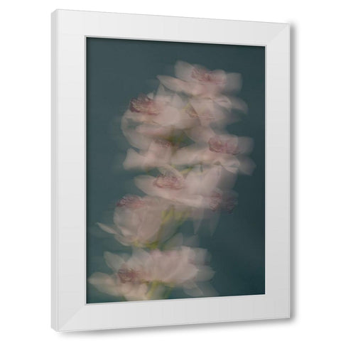 Slow motion White Modern Wood Framed Art Print by Basso, Donatella