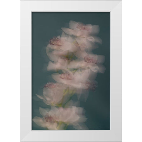Slow motion White Modern Wood Framed Art Print by Basso, Donatella