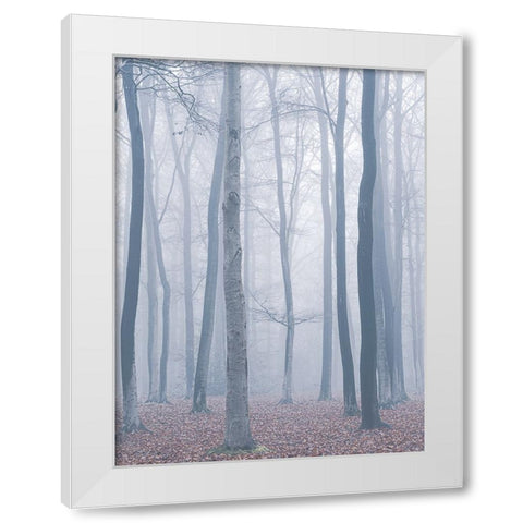 trees in fog White Modern Wood Framed Art Print by Mies, Maurice