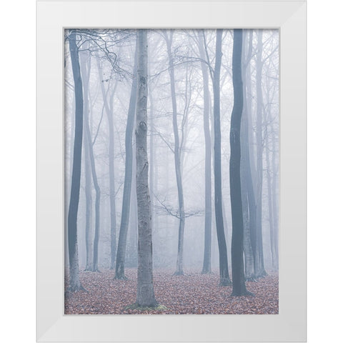 trees in fog White Modern Wood Framed Art Print by Mies, Maurice