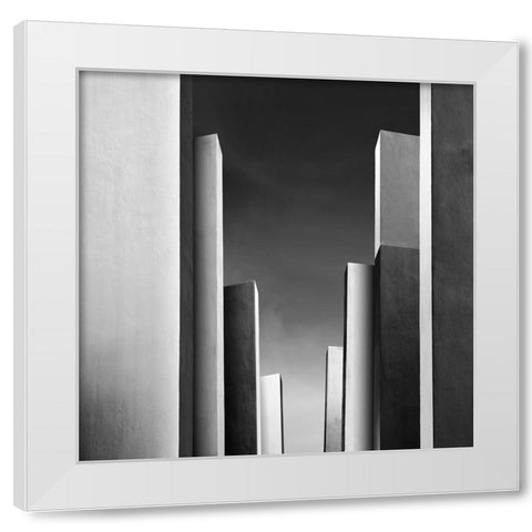 Il Giardino Incantato Ii White Modern Wood Framed Art Print by Di Sebastiano, Pietrino