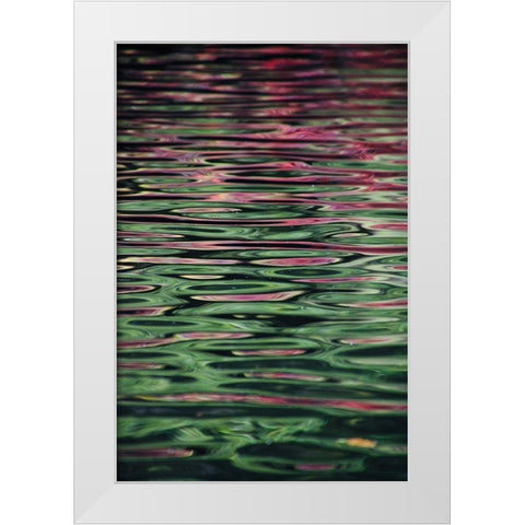 Flower reflection White Modern Wood Framed Art Print by Alcantara, Miguel