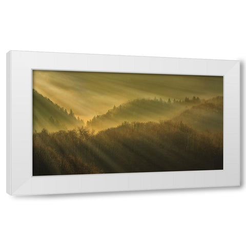 Rays of morning White Modern Wood Framed Art Print by Bor