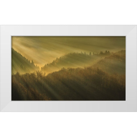 Rays of morning White Modern Wood Framed Art Print by Bor
