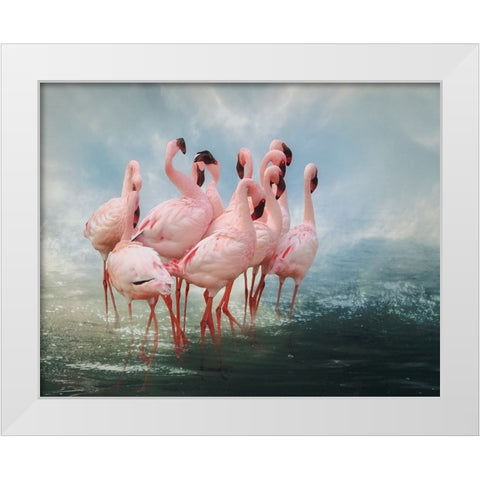 Lesser Flamingo Summit White Modern Wood Framed Art Print by Wisniowska, Krystina
