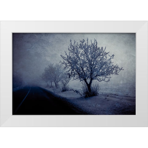 At night foggy White Modern Wood Framed Art Print by Kazamil, Farid