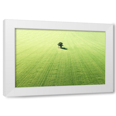 Lonely tree White Modern Wood Framed Art Print by Cederberg, Marcus