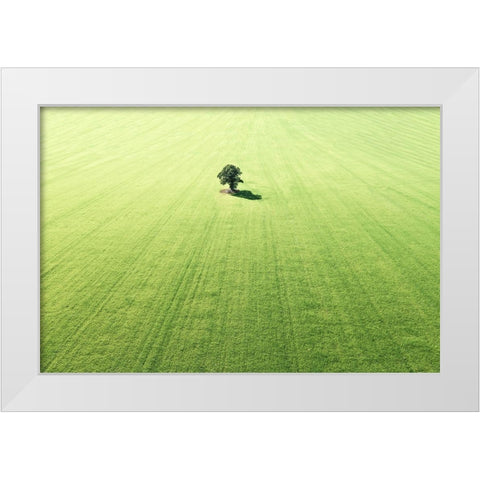 Lonely tree White Modern Wood Framed Art Print by Cederberg, Marcus