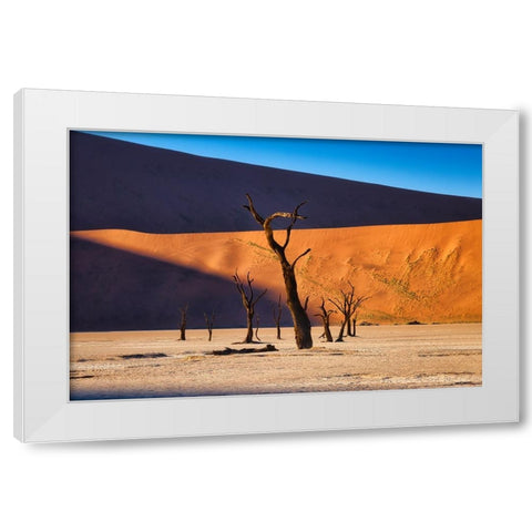 Deadvlei White Modern Wood Framed Art Print by Zheng, Michael