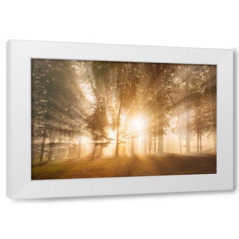 Blinded by the light White Modern Wood Framed Art Print by Londal, Leif