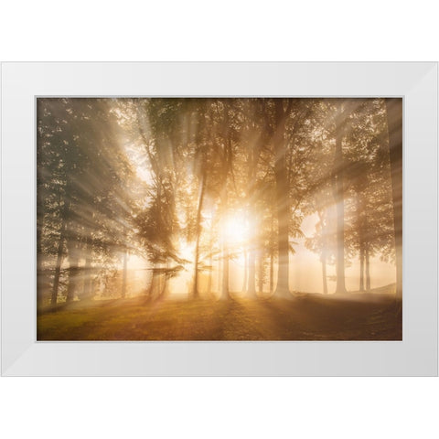 Blinded by the light White Modern Wood Framed Art Print by Londal, Leif