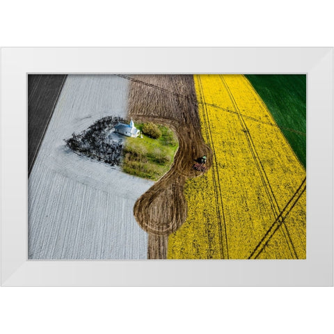 FOUR SEASONS 05 White Modern Wood Framed Art Print by D. Pop, Ovi