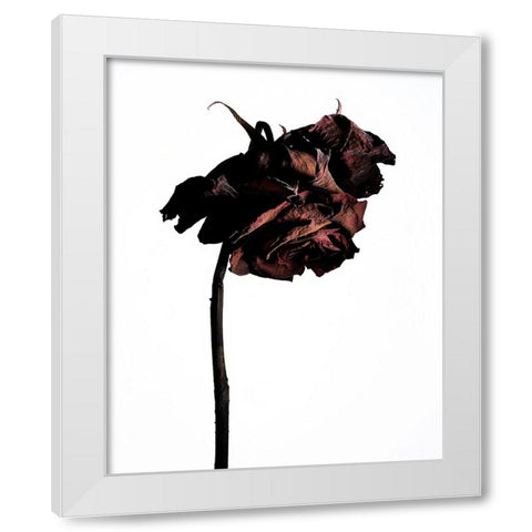 Dried Flower White Modern Wood Framed Art Print by Miyake, Shiro