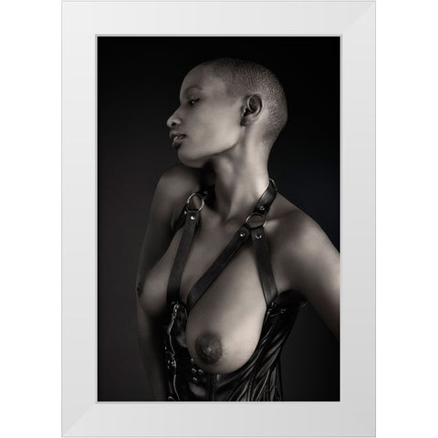 Shasta Topless White Modern Wood Framed Art Print by Slotboom, Jan
