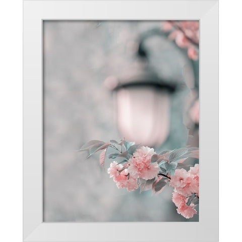 Cherry Blossom Under Street Lamp White Modern Wood Framed Art Print by Liu, Betty