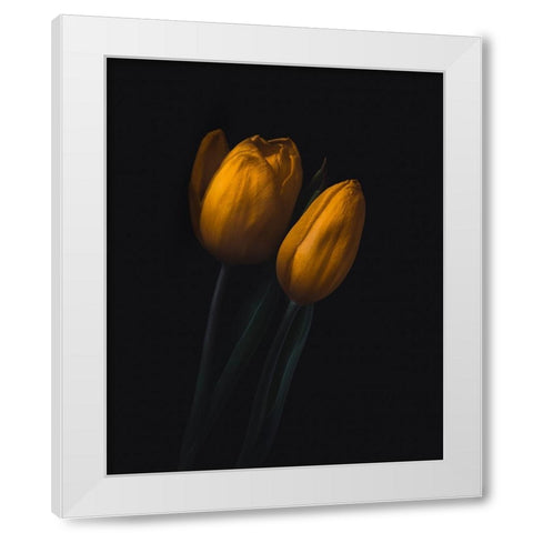 Golden Tulip White Modern Wood Framed Art Print by Bos, Wicher