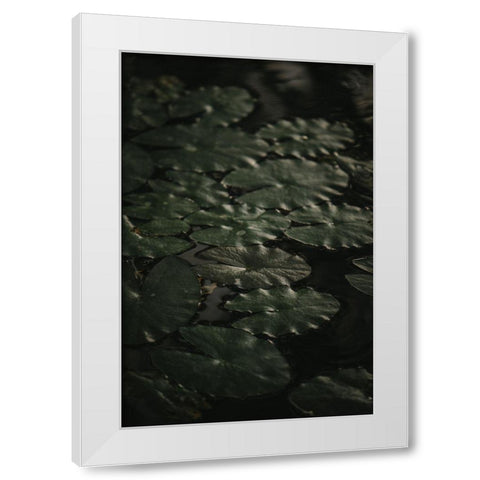 Botanical Series - Water Lily Leaves 1/2 White Modern Wood Framed Art Print by Elijas, Eva