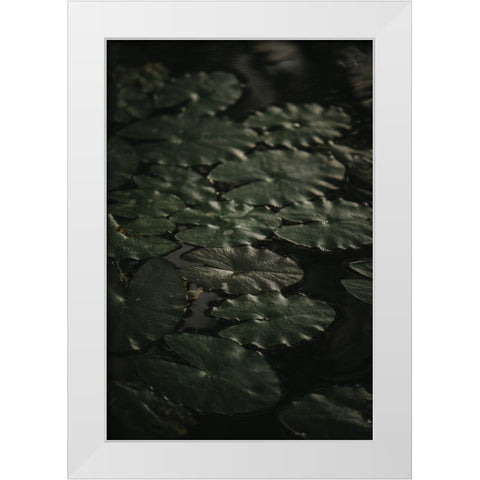 Botanical Series - Water Lily Leaves 1/2 White Modern Wood Framed Art Print by Elijas, Eva