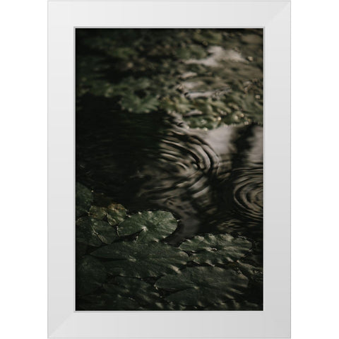 Botanical Series - Water Lily Leaves 2/2 White Modern Wood Framed Art Print by Elijas, Eva