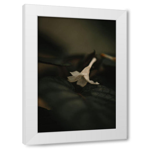 Botanical Series - White Blossom White Modern Wood Framed Art Print by Elijas, Eva