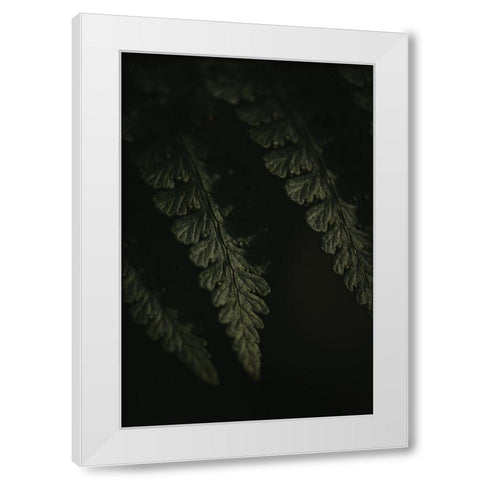 Botanical Series - Fern 1/2 White Modern Wood Framed Art Print by Elijas, Eva