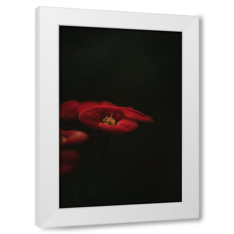 Botanical Series - Red Blossom White Modern Wood Framed Art Print by Elijas, Eva