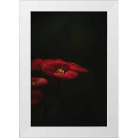 Botanical Series - Red Blossom White Modern Wood Framed Art Print by Elijas, Eva