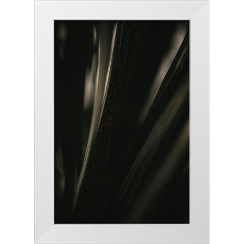 Botanical Series - Palm Leaf White Modern Wood Framed Art Print by Elijas, Eva