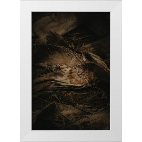 Botanical Series - Palm Bark White Modern Wood Framed Art Print by Elijas, Eva
