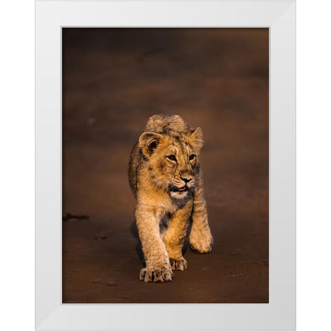 New Blood ! White Modern Wood Framed Art Print by Singodia, Kanchan