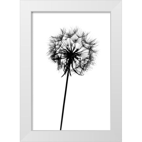 Contrasts White Modern Wood Framed Art Print by Malysheva, Tatiana