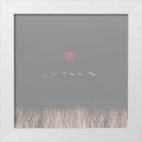 There are gods in the sky White Modern Wood Framed Art Print by Fei, Hsiao-Yang