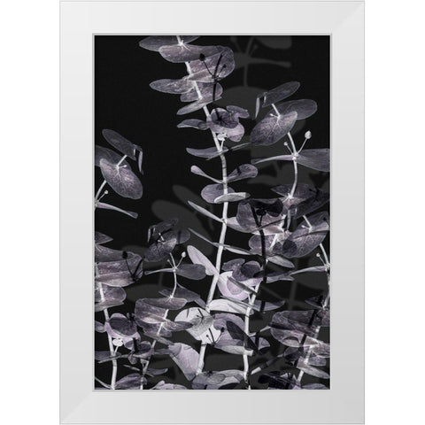Eucalyptus_Negative_002 White Modern Wood Framed Art Print by 1x Studio III