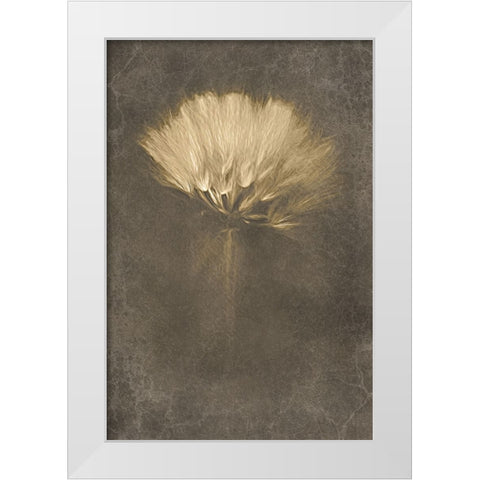 Mysterious Days White Modern Wood Framed Art Print by Kiral, Cicek