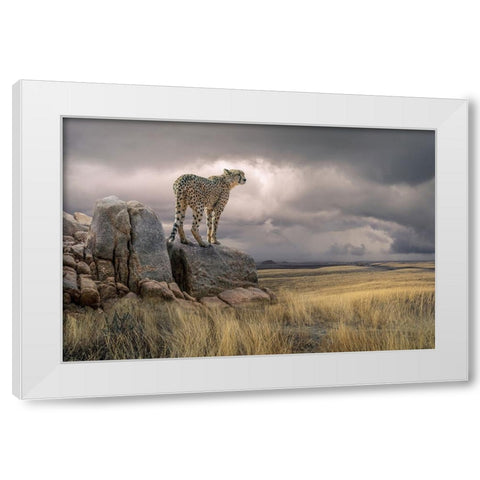 CheetahView White Modern Wood Framed Art Print by Egger, Marcel