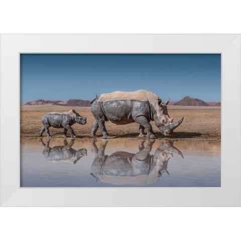RhinosWalk White Modern Wood Framed Art Print by Egger, Marcel