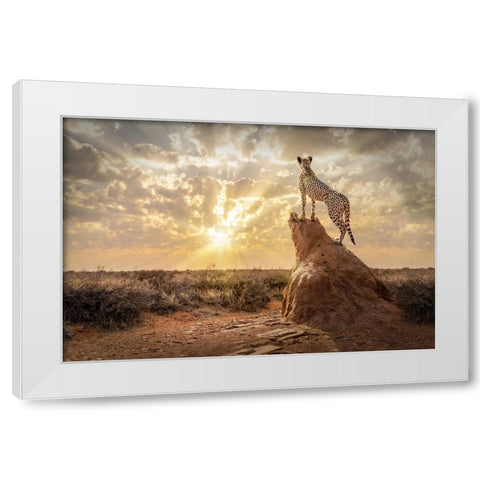 SundownCheetah White Modern Wood Framed Art Print by Egger, Marcel