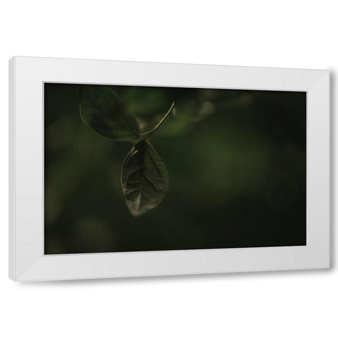 Botanical Series - Leaves 1/5 White Modern Wood Framed Art Print by Elijas, Eva