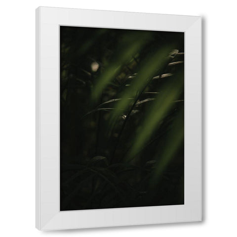 Botanical Series - Leaves 2/5 White Modern Wood Framed Art Print by Elijas, Eva