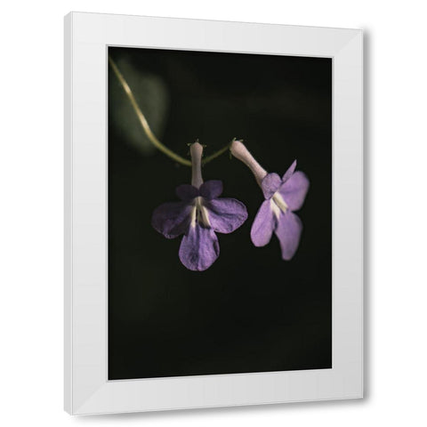 Botanical Series - Purple Flowers White Modern Wood Framed Art Print by Elijas, Eva