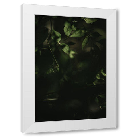 Botanical Series - Leaves 3/5 White Modern Wood Framed Art Print by Elijas, Eva