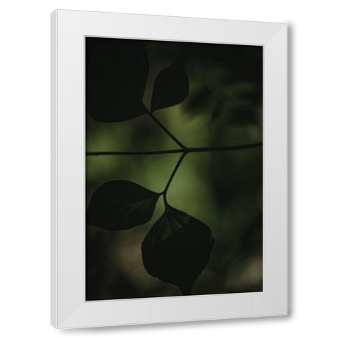 Botanical Series - Leaves 4/5 White Modern Wood Framed Art Print by Elijas, Eva